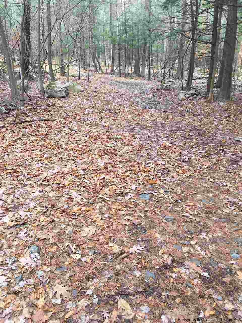 Tbd Tbd Angus Lane, Unit ROUTE 212 Bearsville, NY 12409 - Photo 6 of 24 Photo 6