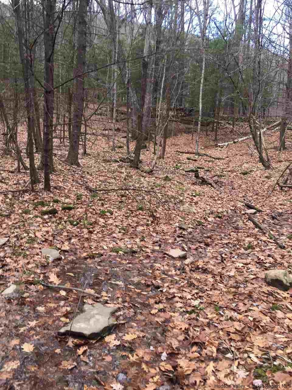 Tbd Tbd Angus Lane, Unit ROUTE 212 Bearsville, NY 12409 - Photo 9 of 24 Photo 9