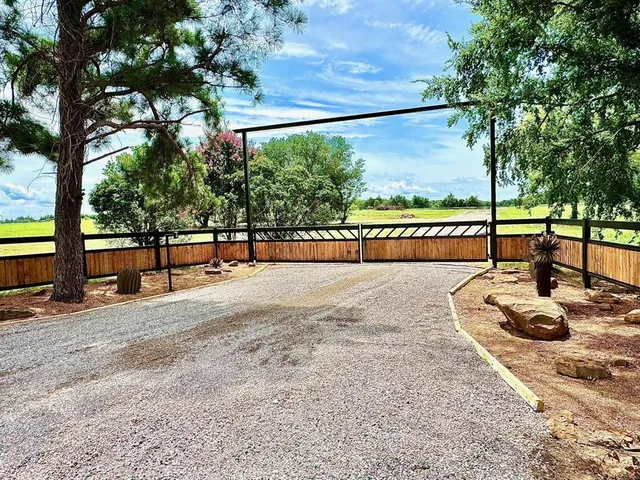 a street view with a large tree