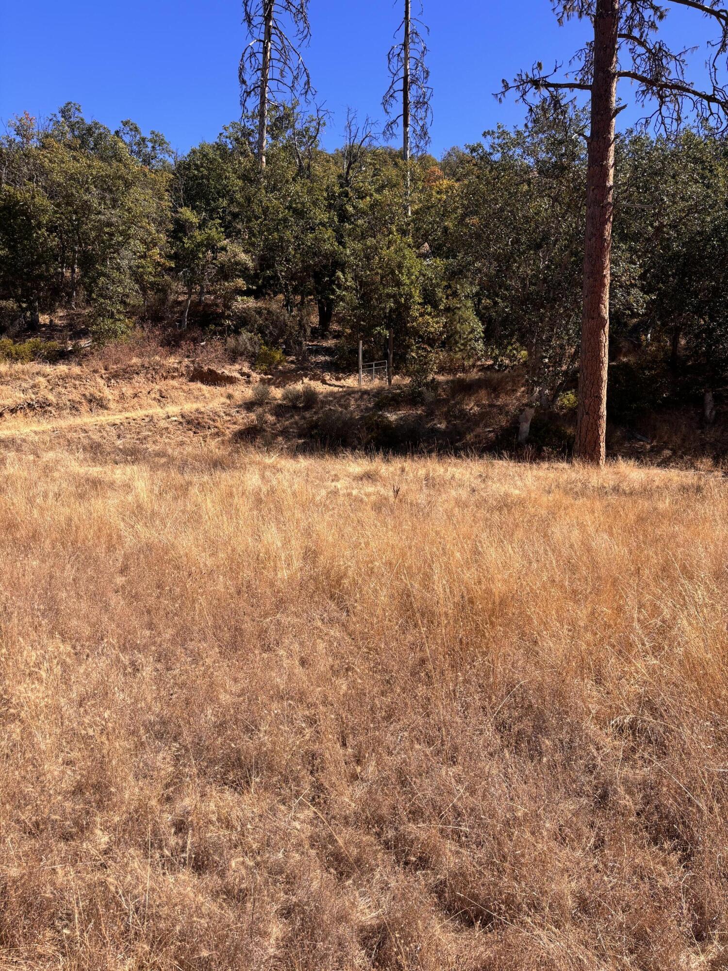 Lower area