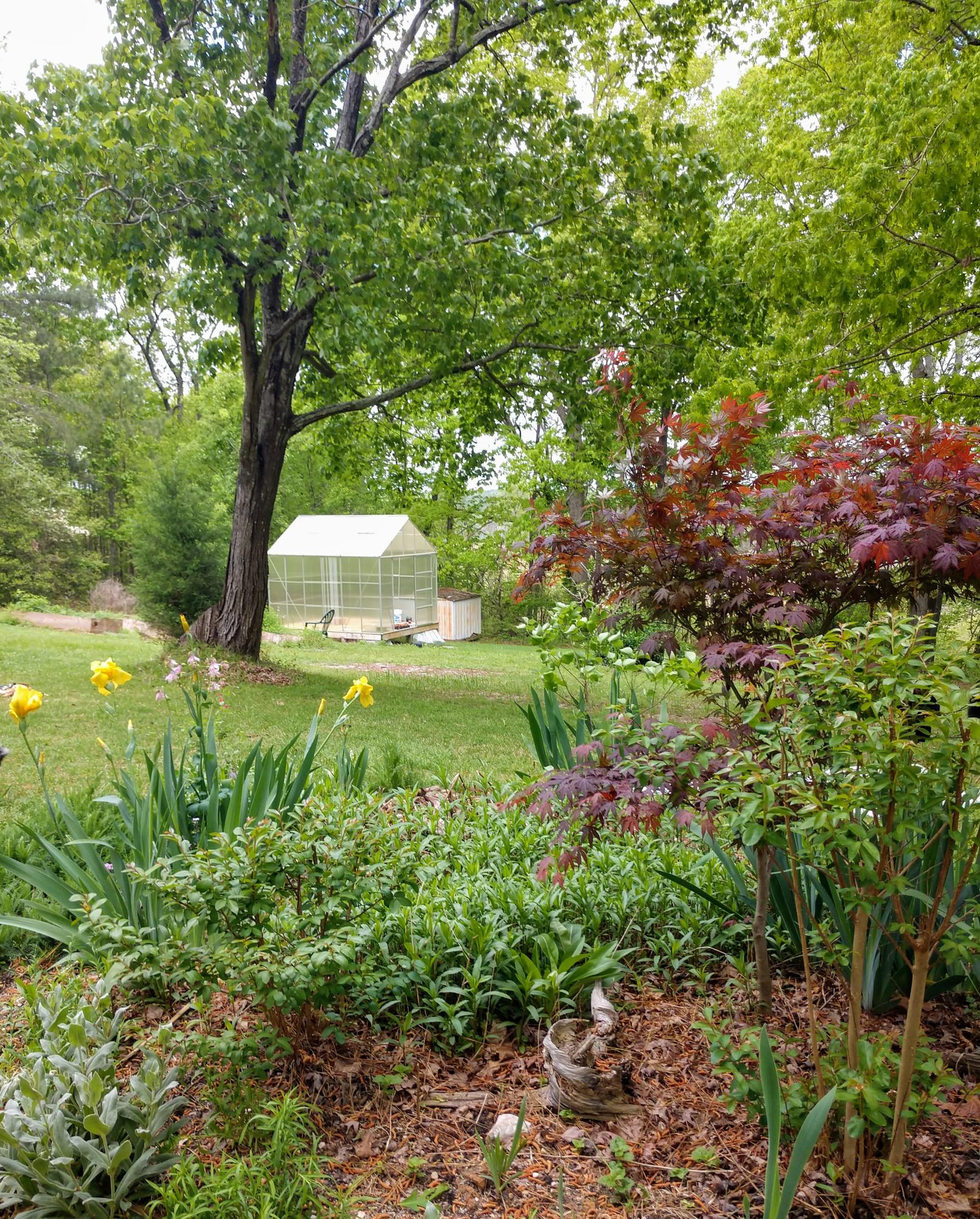 668 Fire Tower Road Carthage, NC 28327 - Photo 5 of 10 Garden and Green House Back Yard