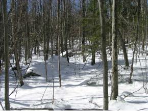 3 Rt 114 North Sutton, NH 03260 - Photo 3 of 6 Gallery Image 3