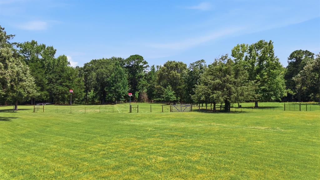 3583 VZ County Road Ben Wheeler, TX 75754 - Photo 33 of 34