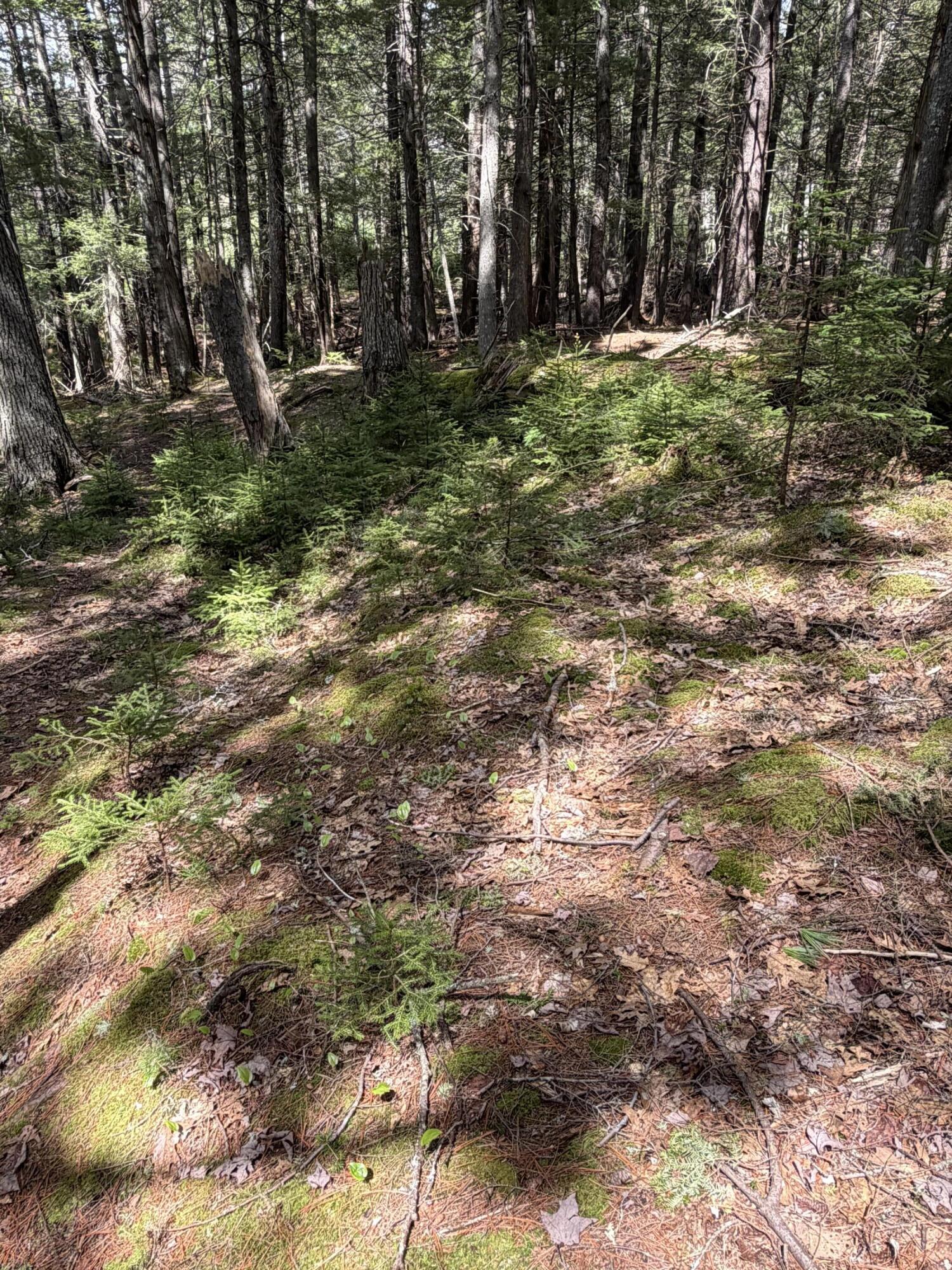 108 B Flying Point Road Freeport, ME 04032 - Photo 18 of 31 IMG_8720