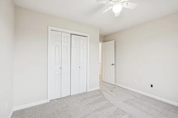 a view of a yard with wooden fence and a large tree