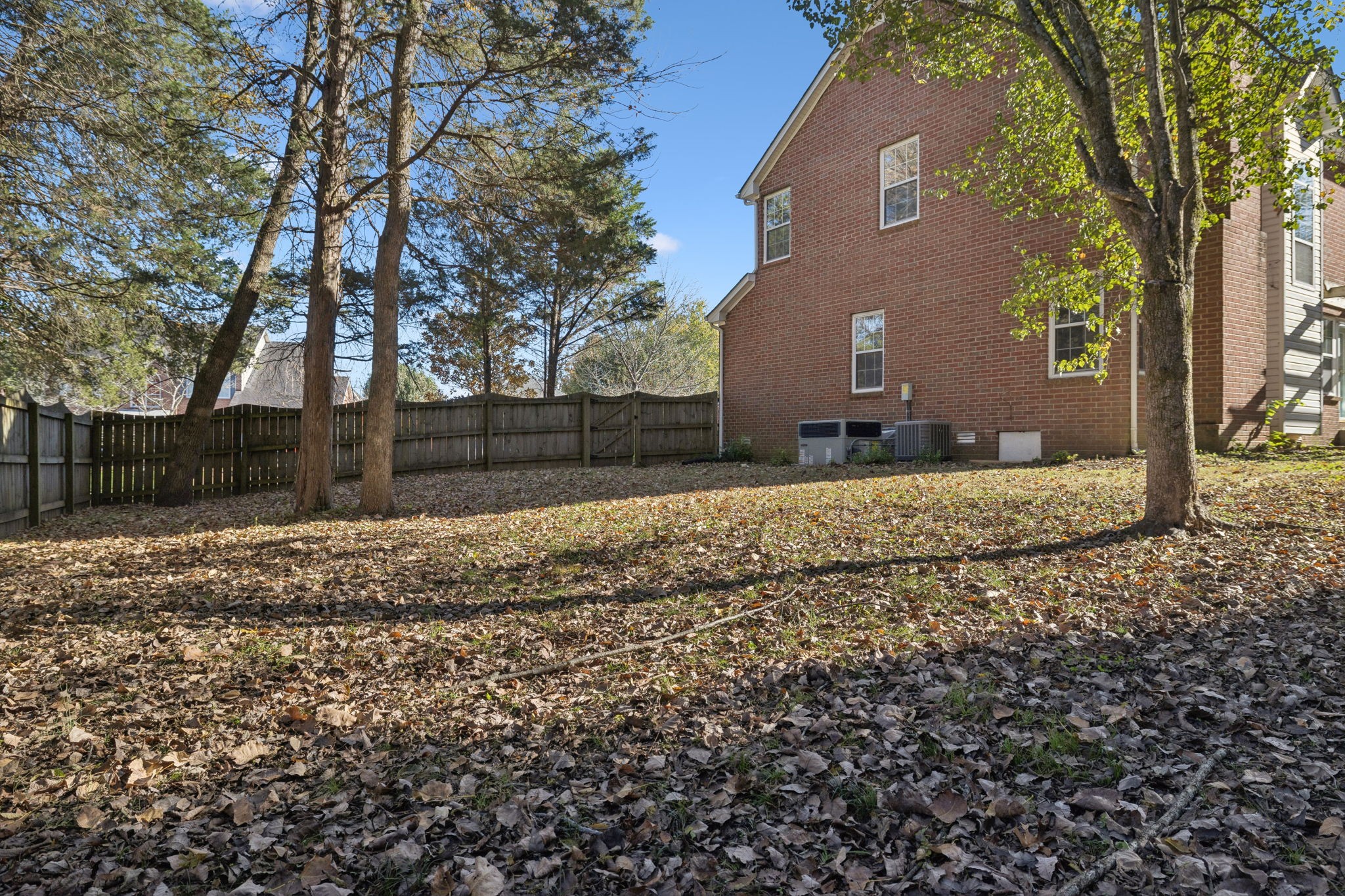 5244 Beech Ridge Road Nashville, TN 37221 - Photo 57 of 77 a view of a yard with wooden fence and a large tree