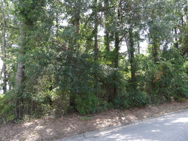 Lot 436 Ross Road Waverly Hall, GA 31831 - Photo 1 of 1 Main View