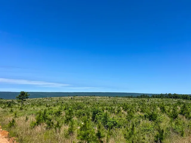 $715,000 | 1 Off N4220, Antlers, OK 74536