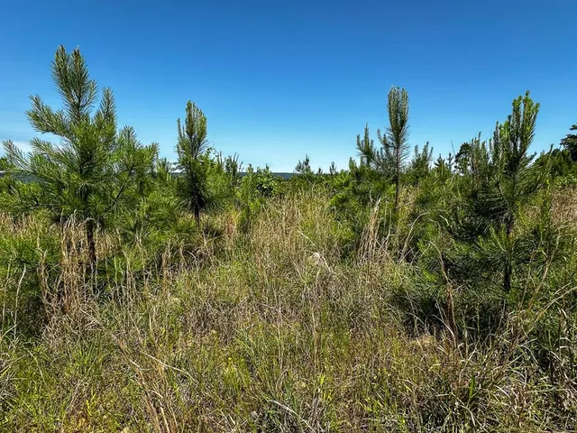 $715,000 | 1 Off N4220, Antlers, OK 74536