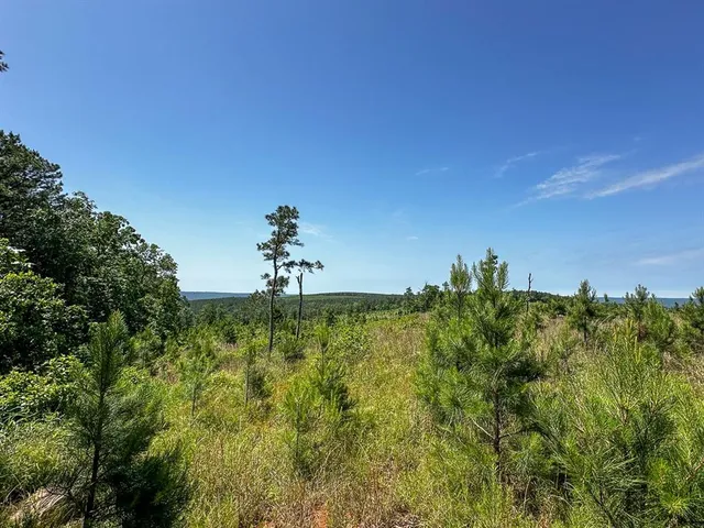 $715,000 | 1 Off N4220, Antlers, OK 74536