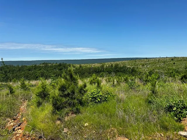 $715,000 | 1 Off N4220, Antlers, OK 74536