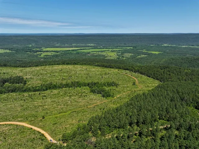 $715,000 | 1 Off N4220, Antlers, OK 74536