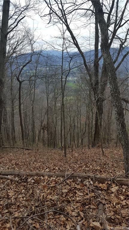 Tbd Lookout Point Clyde, NC 28721 - Photo 3 of 4