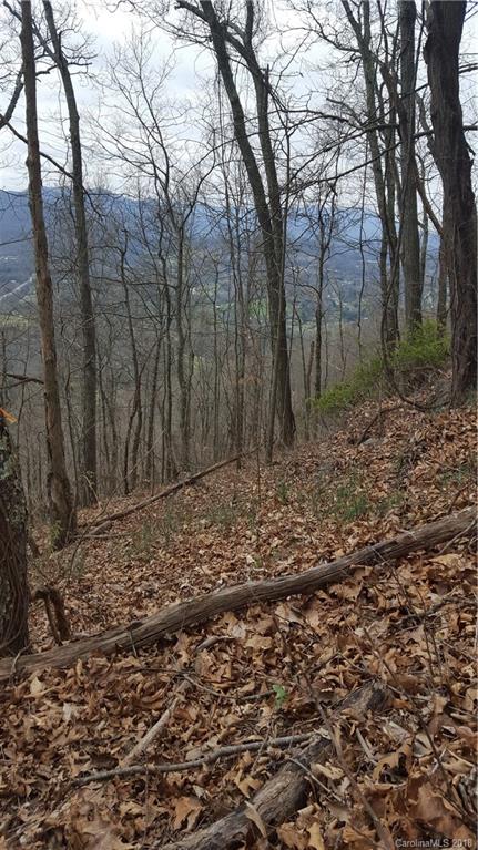 Tbd Lookout Point Clyde, NC 28721 - Photo 4 of 4