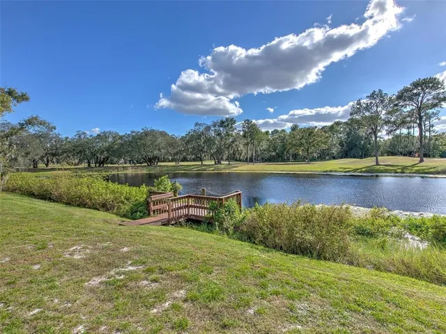 a view of a lake with houses in the back