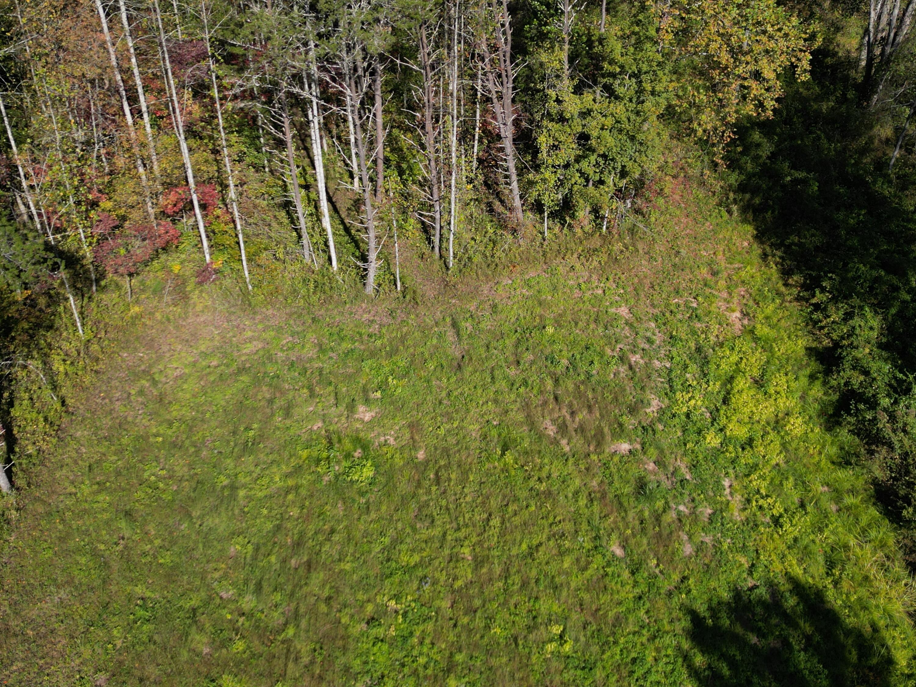 9999 Reed Branch Road Manchester, KY 40962 - Photo 37 of 48 DJI_0812