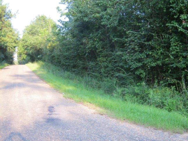 0 Smithtown Road Tylertown, MS 39667 - Photo 1 of 1 Main View