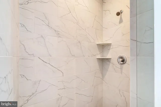 a bathroom with a shower and a toilet