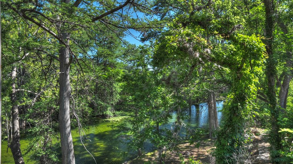 187 Roy Chisum Road Leakey, TX 78873 - Photo 6 of 40 a view of a lush green forest