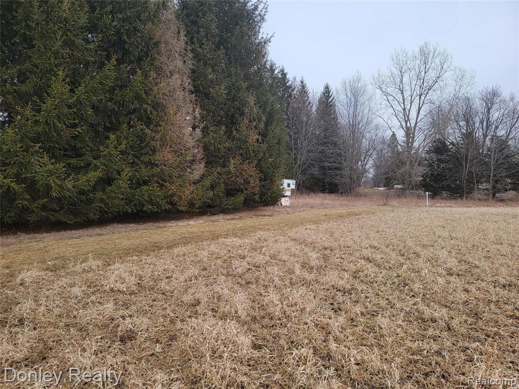 0 Mayville Road Marlette, MI 48453 - Photo 8 of 11