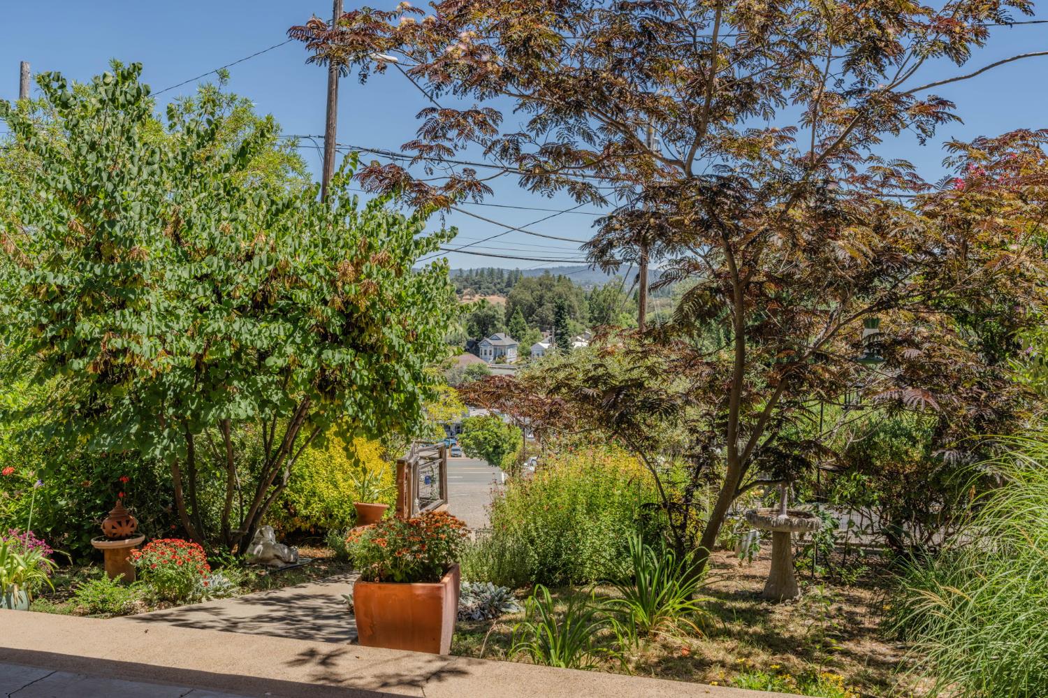 419 Rex Avenue Jackson, CA 95642 - Photo 61 of 90