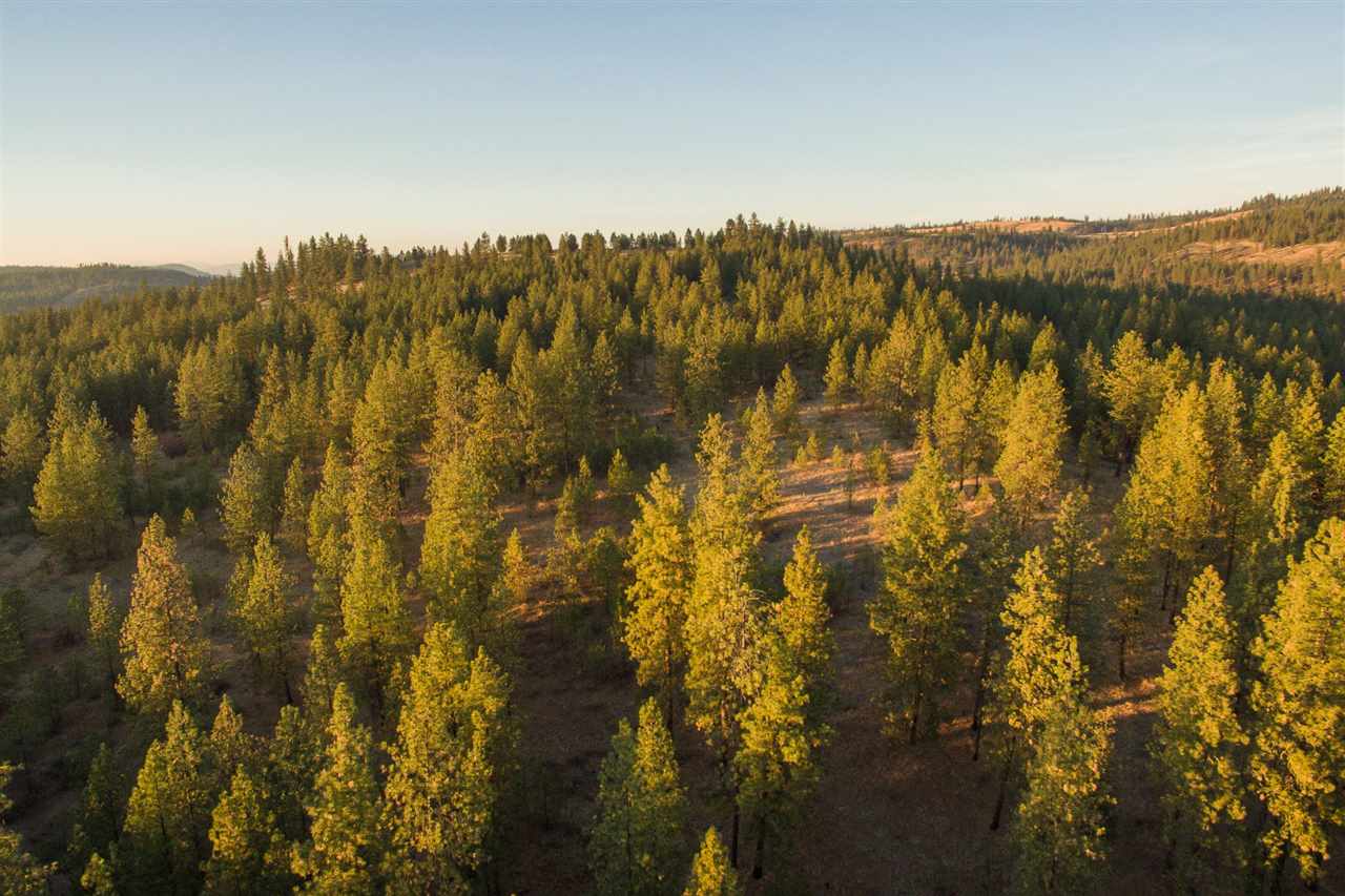 0 Sand Flats Road Fruitland, WA 99129 - Photo 5 of 10 Gallery Image 5