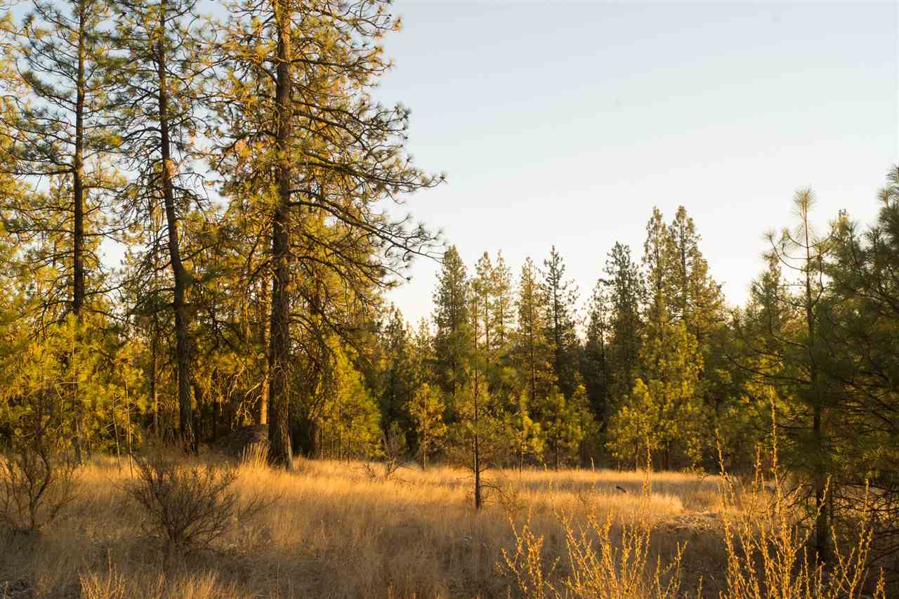 0 Sand Flats Road Fruitland, WA 99129 - Photo 7 of 10 Gallery Image 7