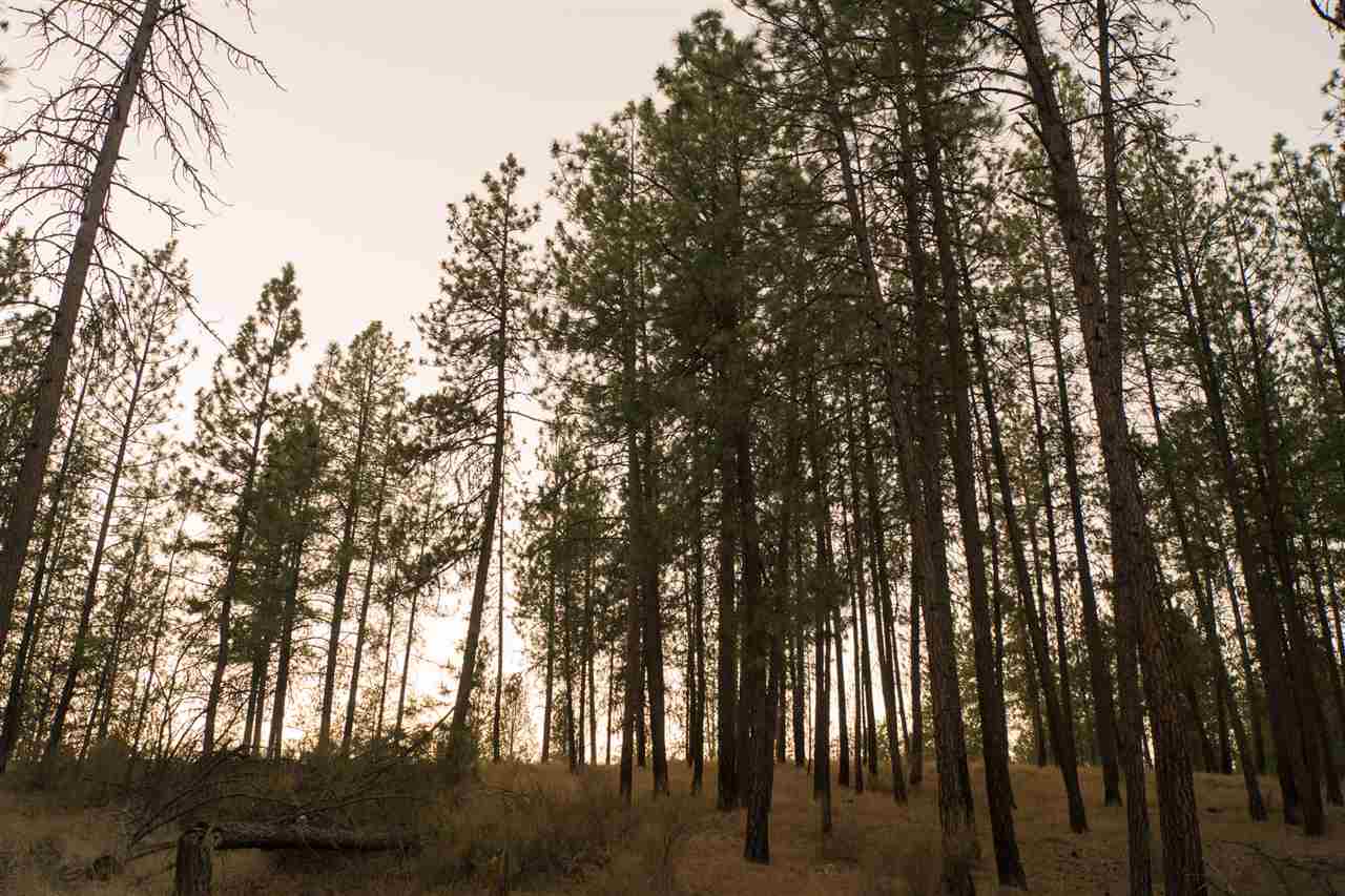 0 Sand Flats Road Fruitland, WA 99129 - Photo 8 of 10 Gallery Image 8