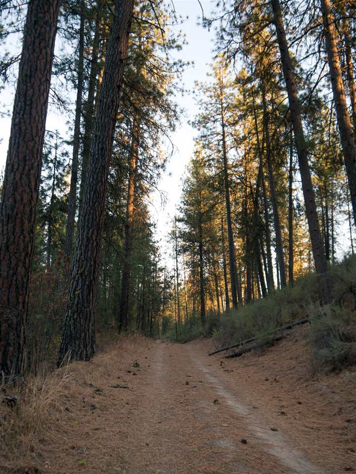 0 Sand Flats Road Fruitland, WA 99129 - Photo 9 of 10 Gallery Image 9