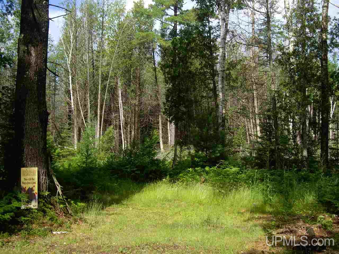 825 Old Plank Road Wetmore, MI 49895 - Photo 28 of 28