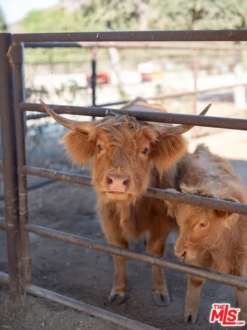 $14,995,000 | 38831 Pauba Road, Temecula, CA 92592