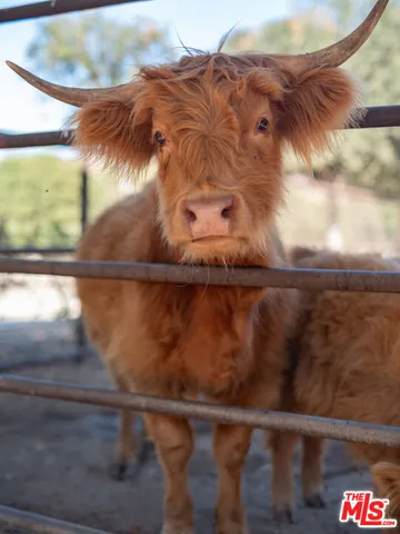 $14,995,000 | 38831 Pauba Road, Temecula, CA 92592