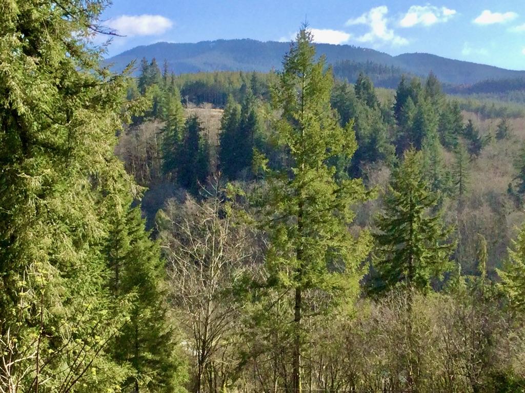 31650 Blaine Road Beaver, OR 97108 - Photo 42 of 49 Mt. Hebo