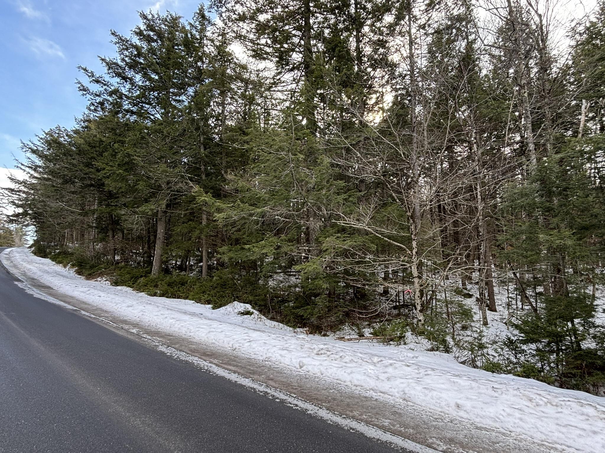 0 South Main Street Washington, NH 03280 - Photo 14 of 18