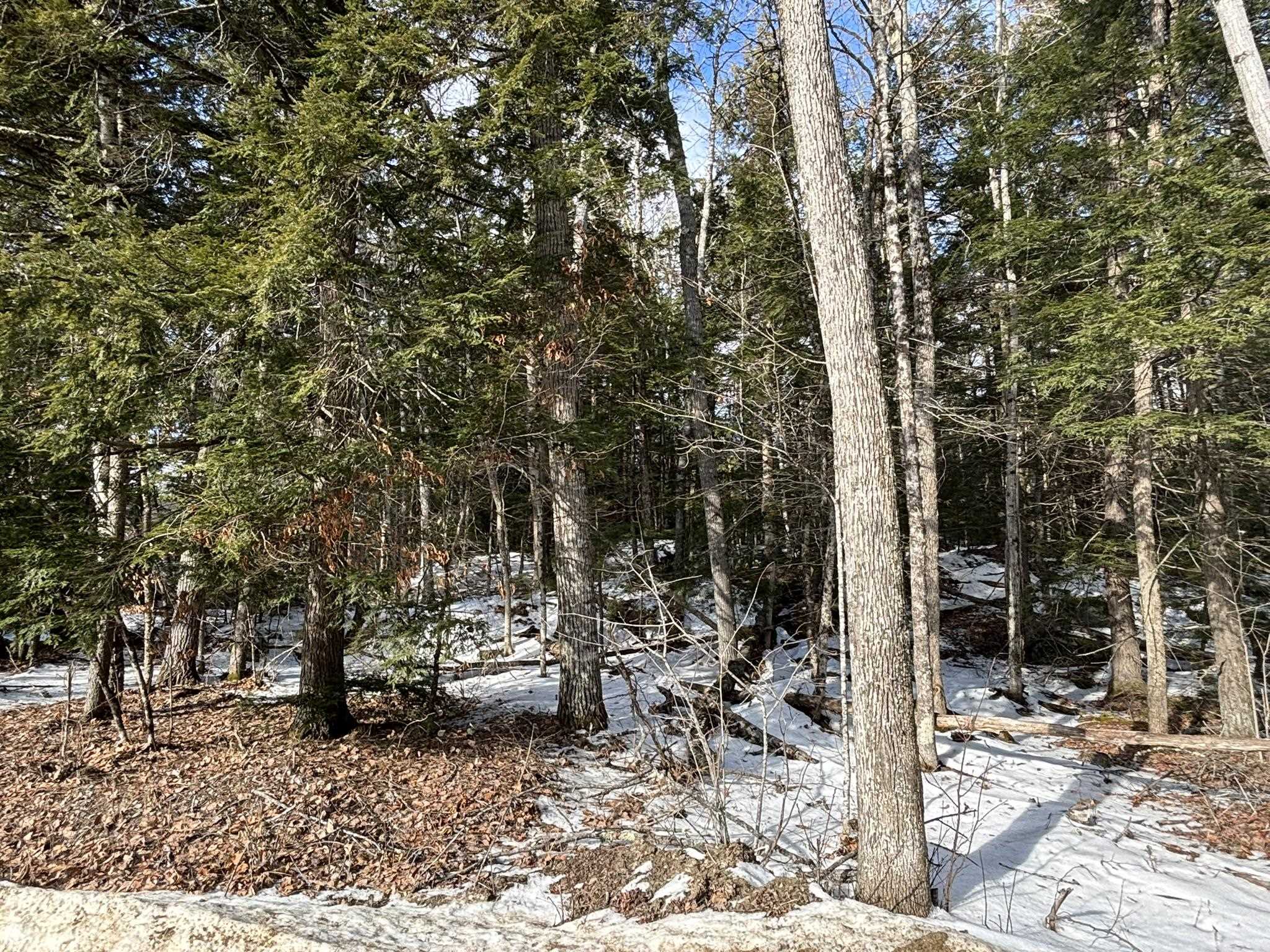 0 South Main Street Washington, NH 03280 - Photo 15 of 18