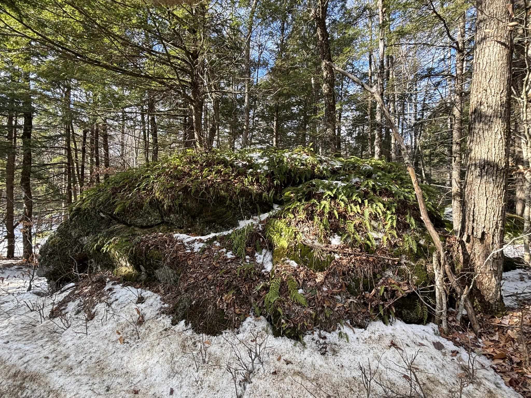 0 South Main Street Washington, NH 03280 - Photo 3 of 18