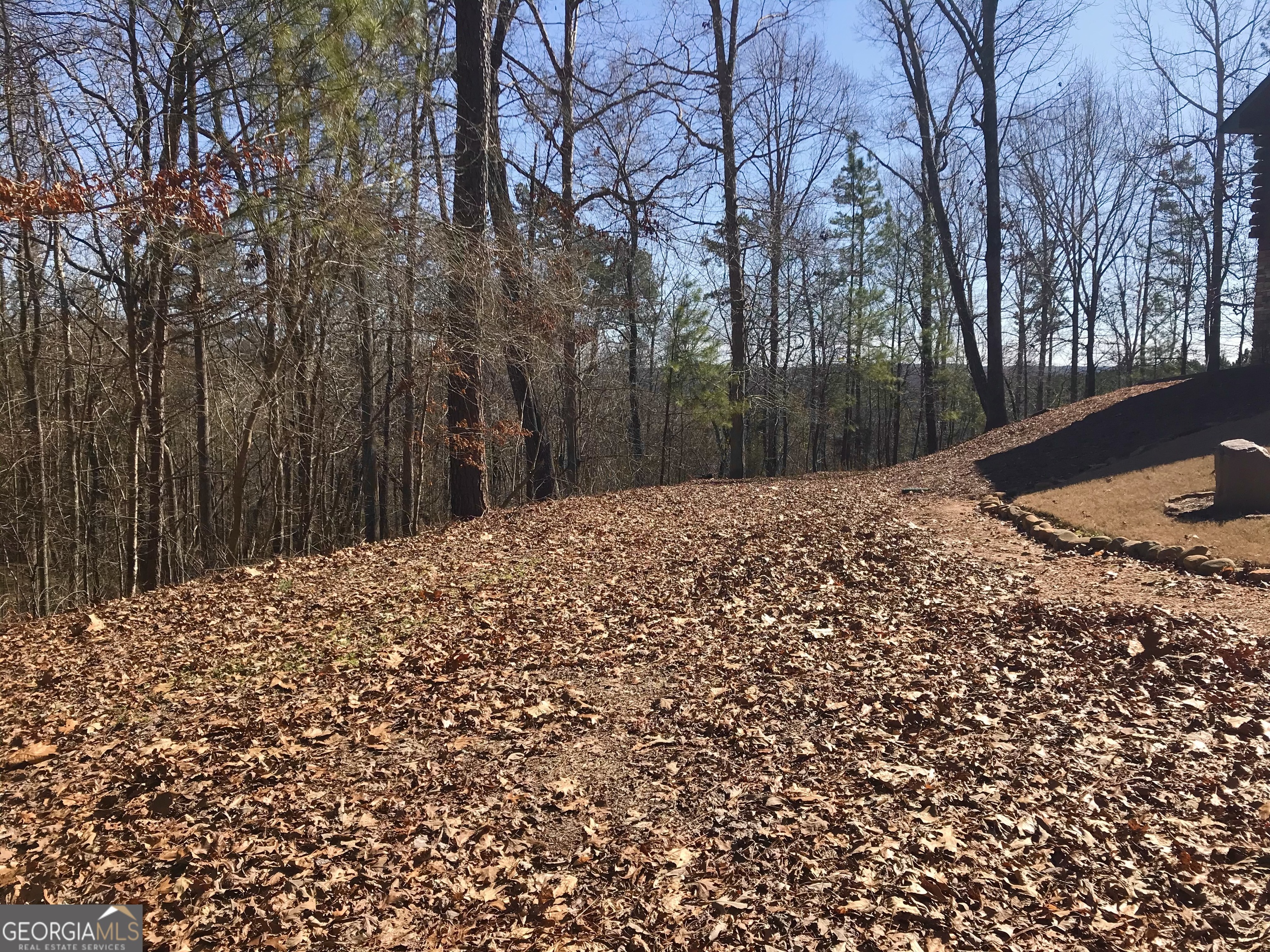 0 South River Road Douglasville, GA 30135 - Photo 2 of 11