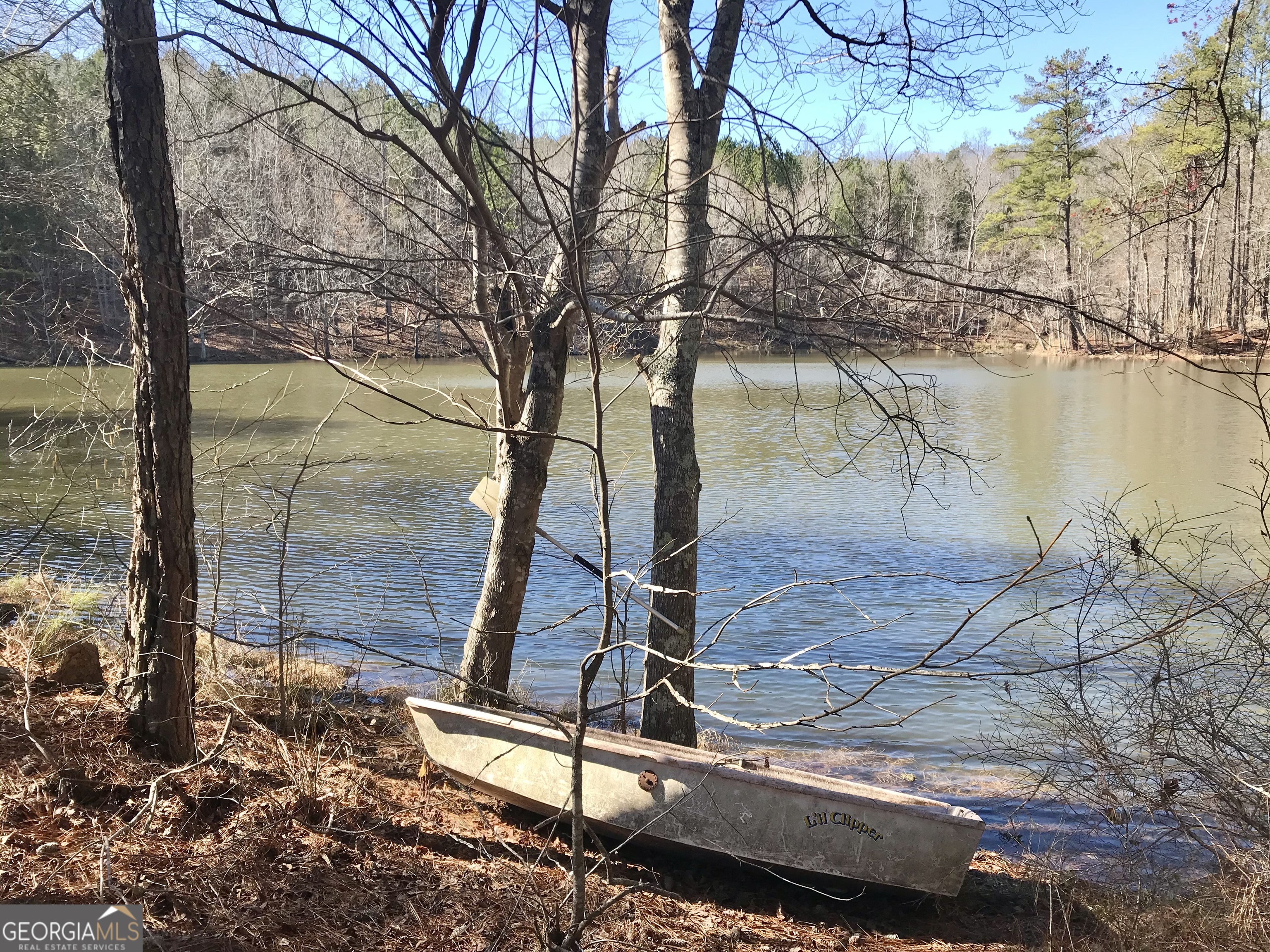 0 South River Road Douglasville, GA 30135 - Photo 3 of 11