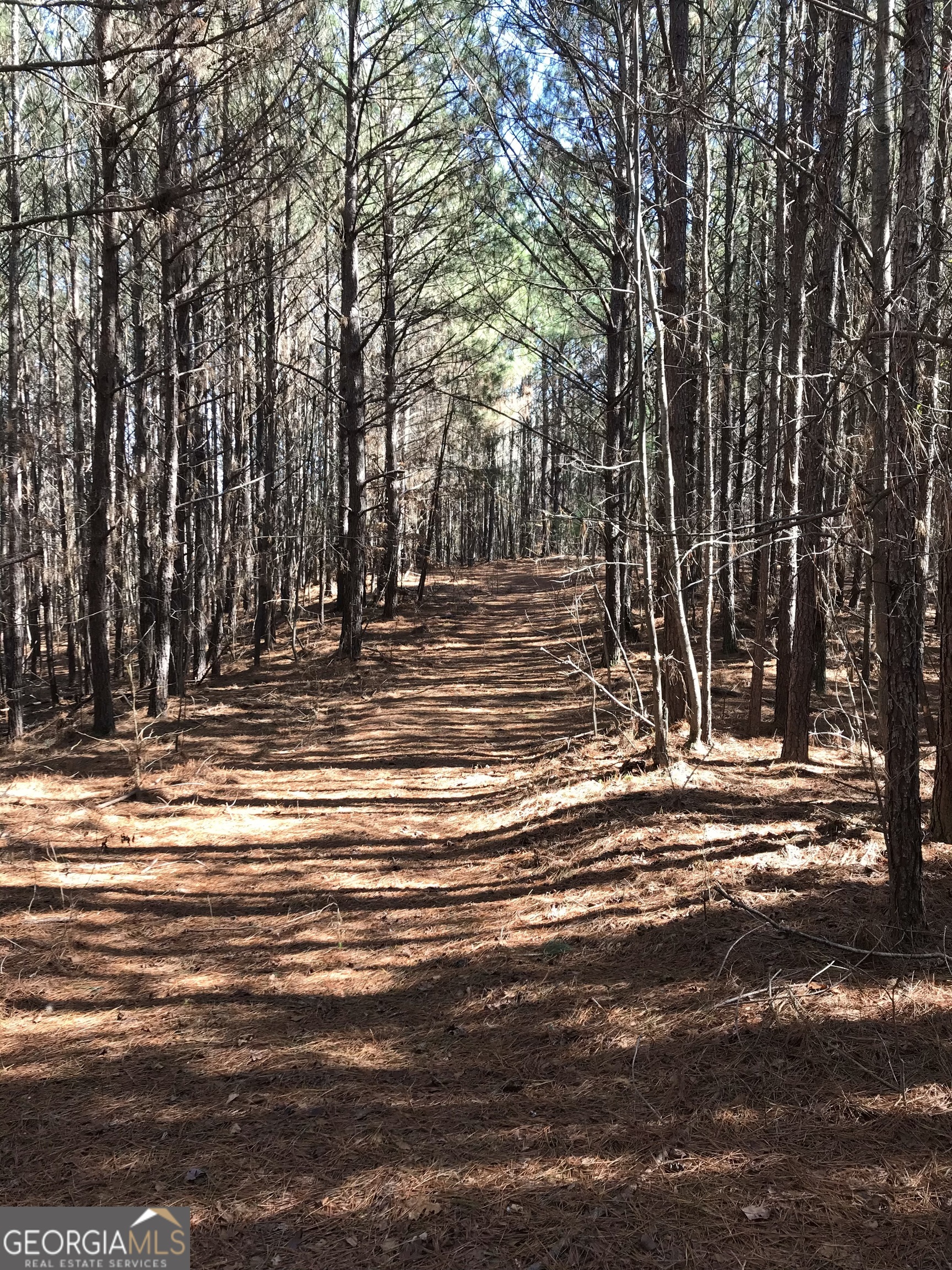 0 South River Road Douglasville, GA 30135 - Photo 4 of 11