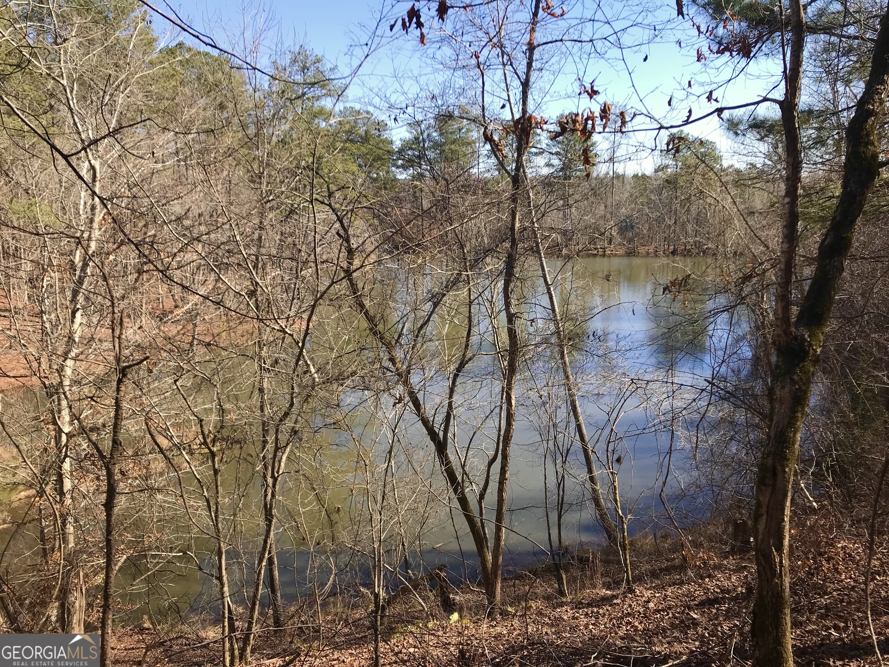 0 South River Road Douglasville, GA 30135 - Photo 5 of 11