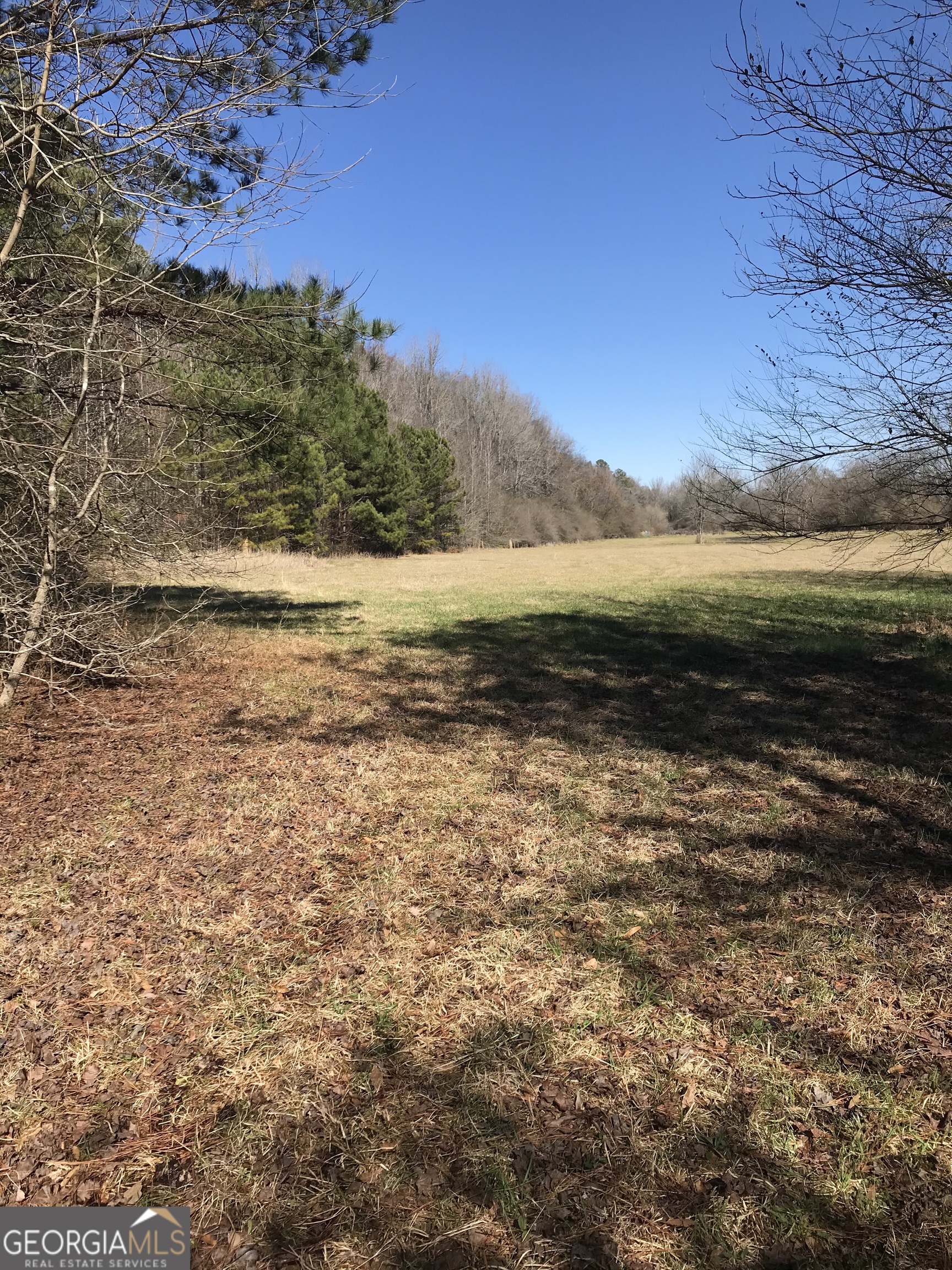 0 South River Road Douglasville, GA 30135 - Photo 6 of 11