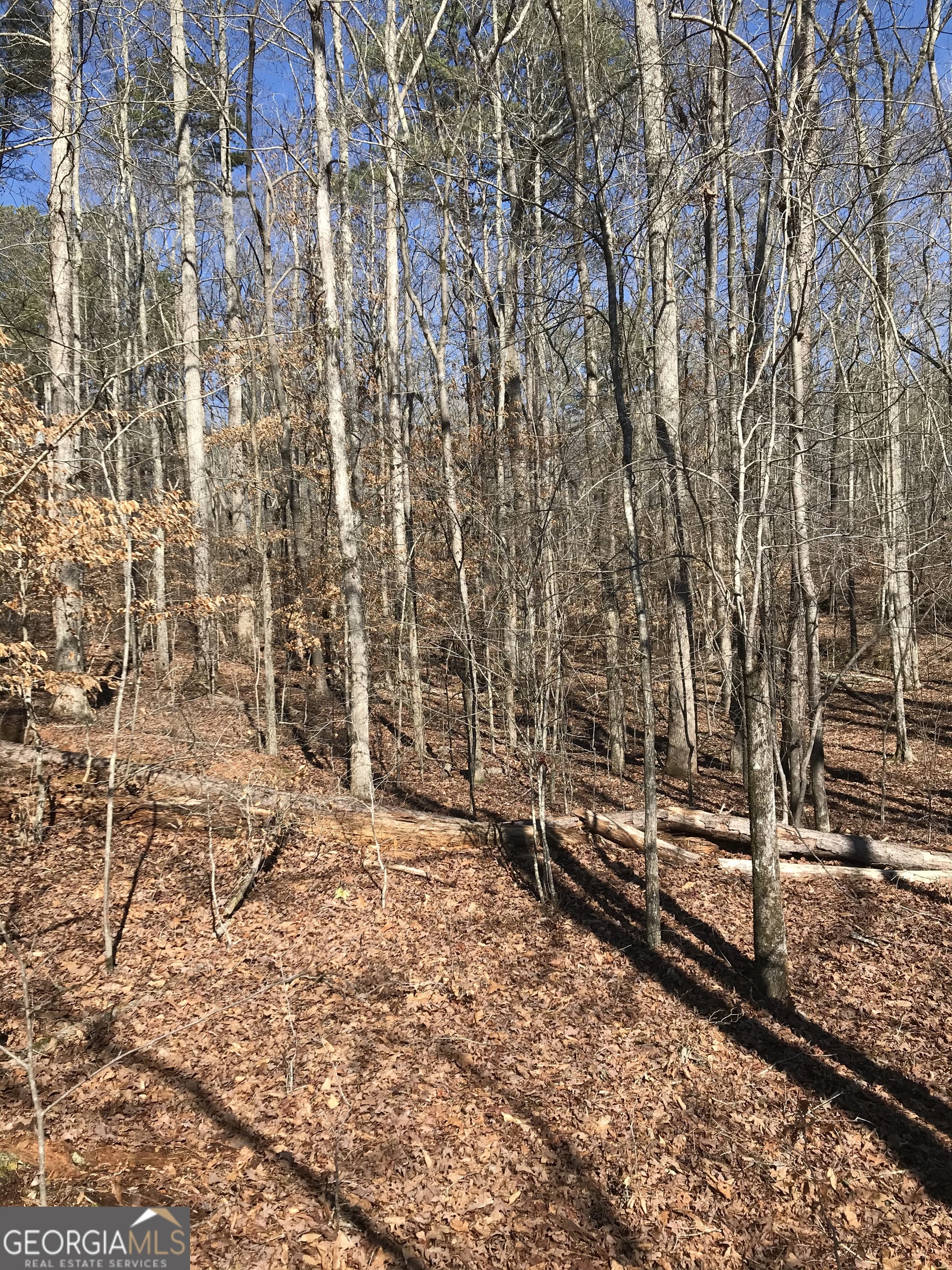 0 South River Road Douglasville, GA 30135 - Photo 7 of 11