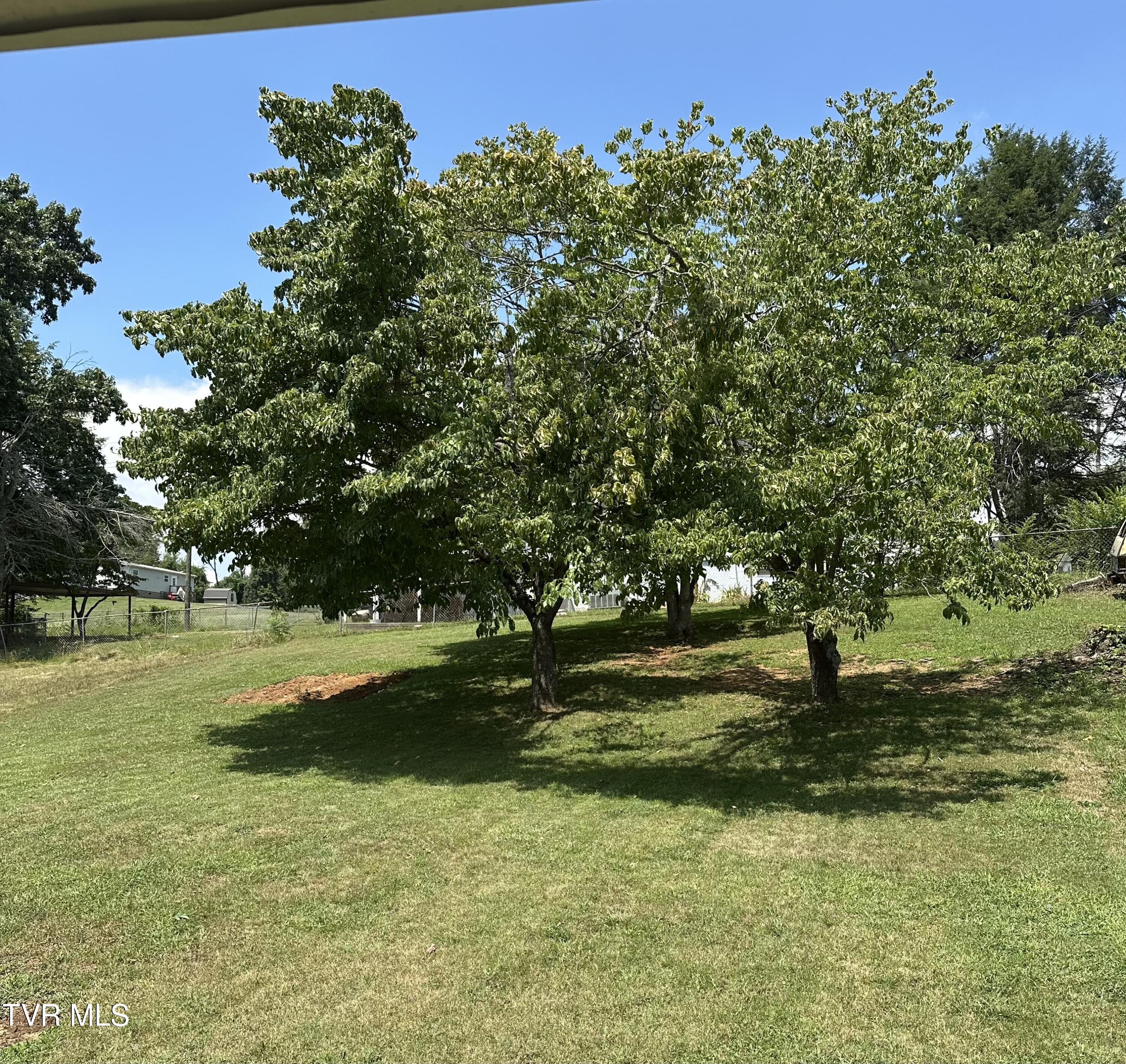 429 Wilma Street Kingsport, TN 37665 - Photo 28 of 28 Back yard