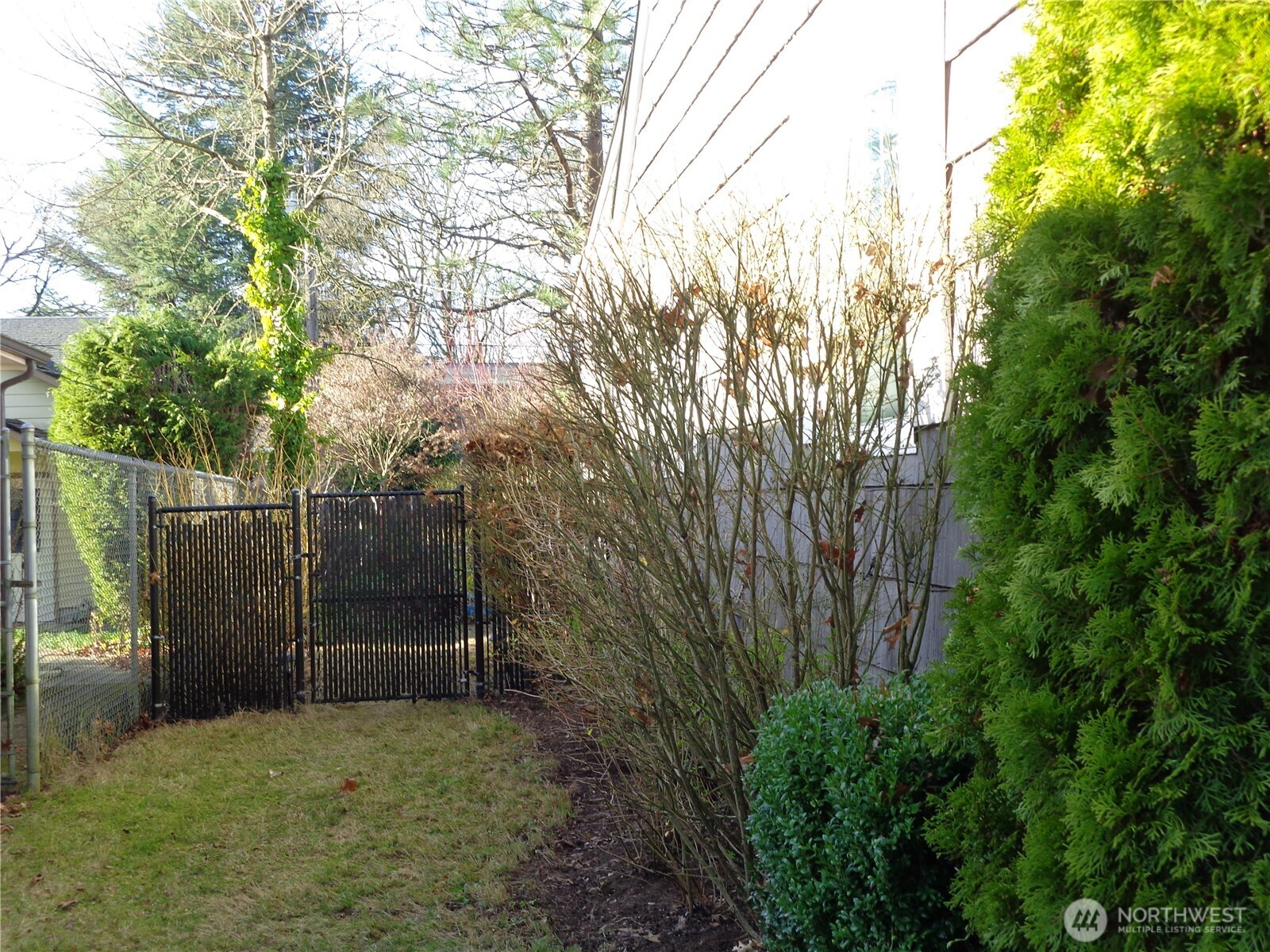 1639 22nd Avenue Longview, WA 98632 - Photo 31 of 35 a view of backyard with trees