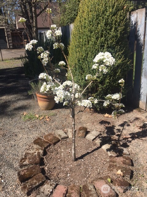 1639 22nd Avenue Longview, WA 98632 - Photo 32 of 35 a bunch of flowers and flowers