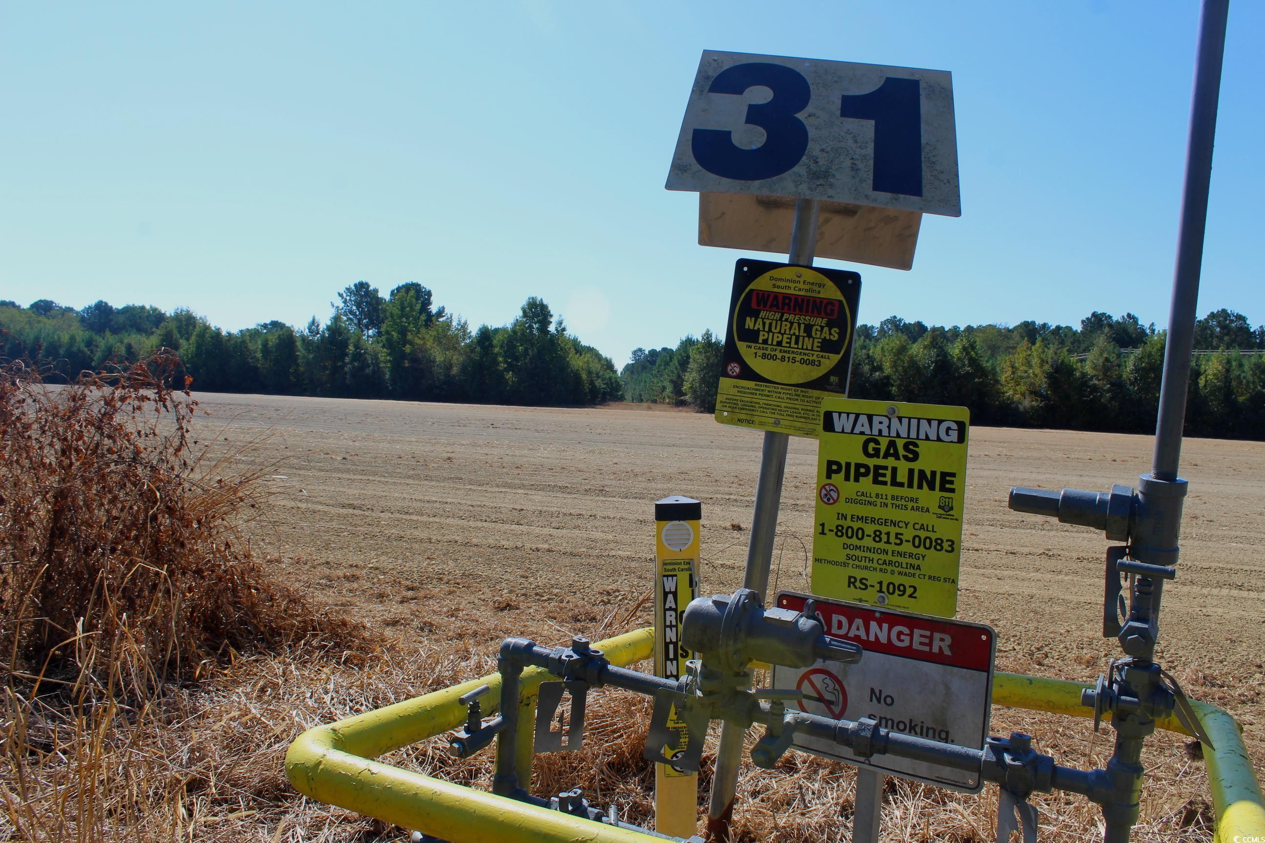 1-tbd Dew Rd 1-tbd Dew Road Marion, SC 29571 - Photo 18 of 29 Gallery Image 18