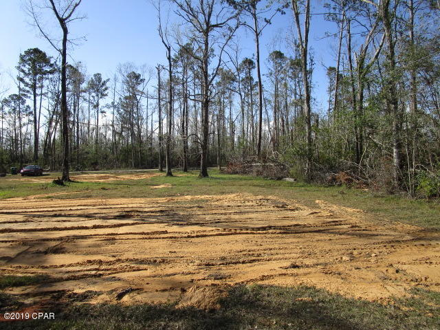 7717 Northwest River Road Bristol, FL 32321 - Photo 20 of 22 Gallery Image 20
