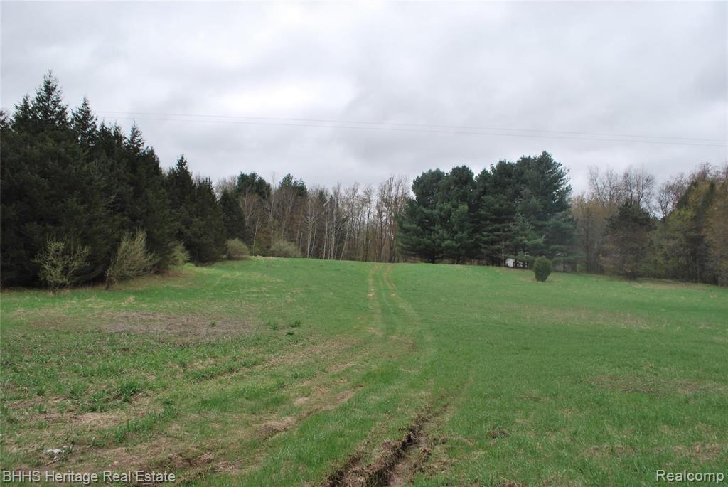 10899 West Allen Road Fowlerville, MI 48836 - Photo 28 of 31