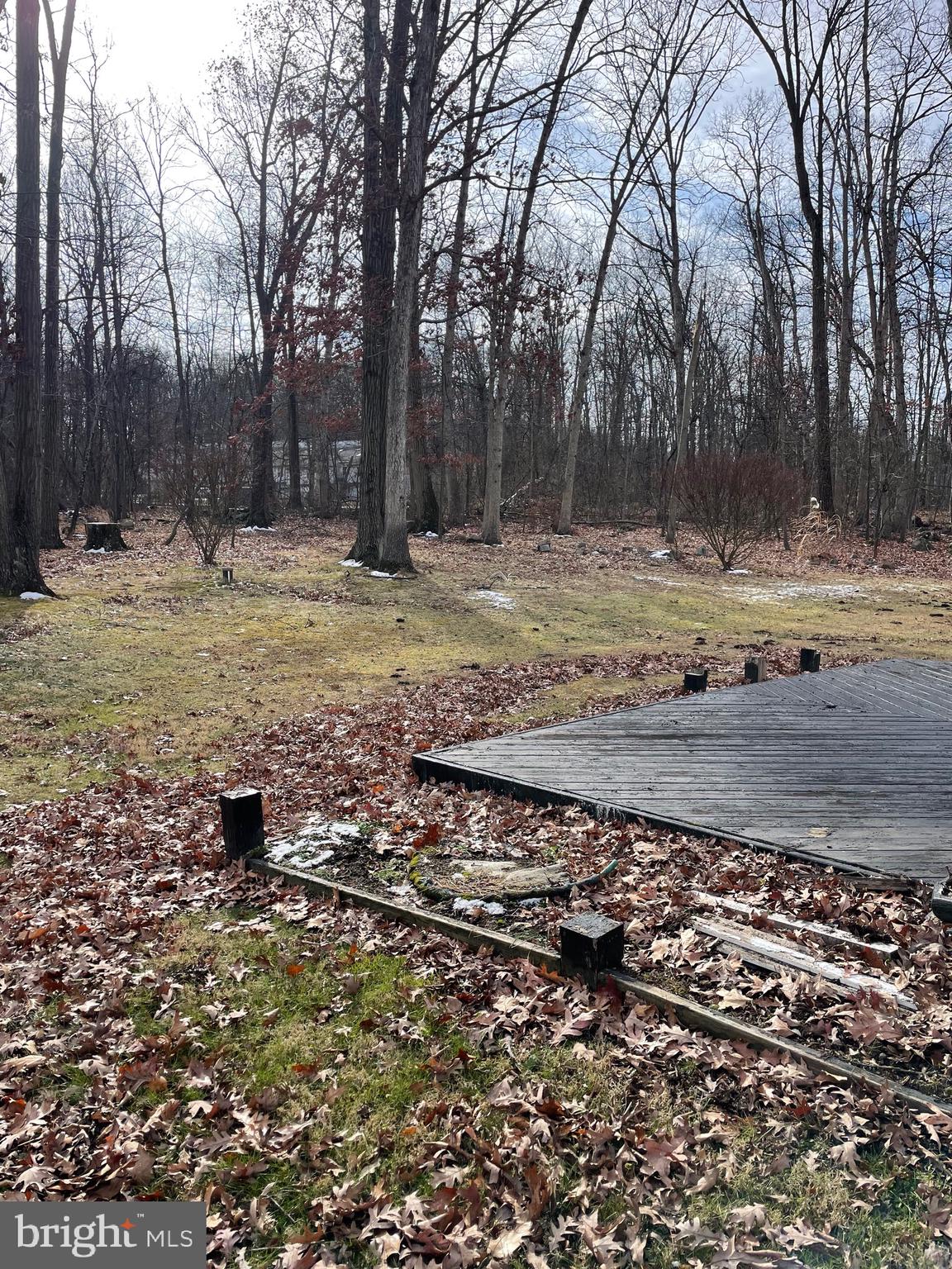 3266 Rosstown Road Wellsville, PA 17365 - Photo 30 of 31 a view of a yard with a house