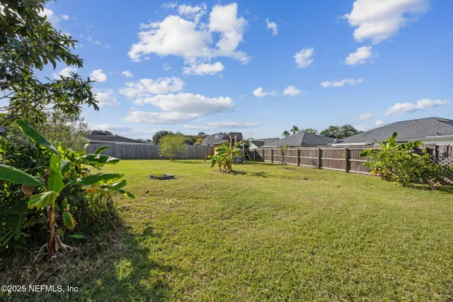 a view of a big yard with plants and a large tree
